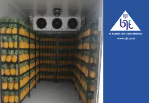 Cold Storage untuk Nanas Madu Subang